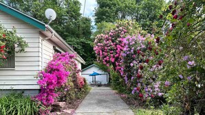 Ein Weg führt zu einem Haus mit Satellitenschüssel, umgeben von üppigen, rosa und violett blühenden Büschen.
