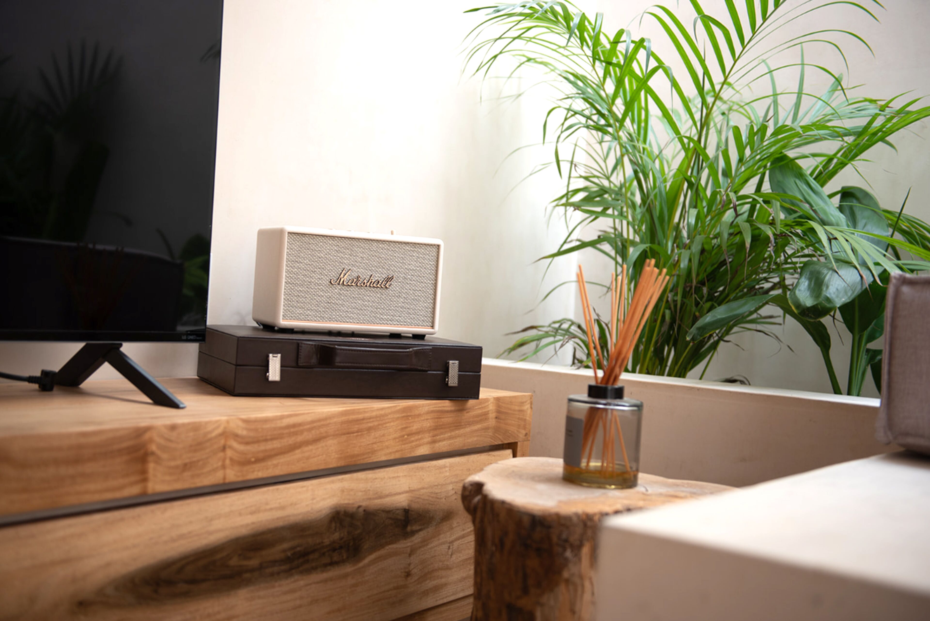 A wooden desk with a vintage Marshall amplifier, a plant, and a glass vase with a candle.