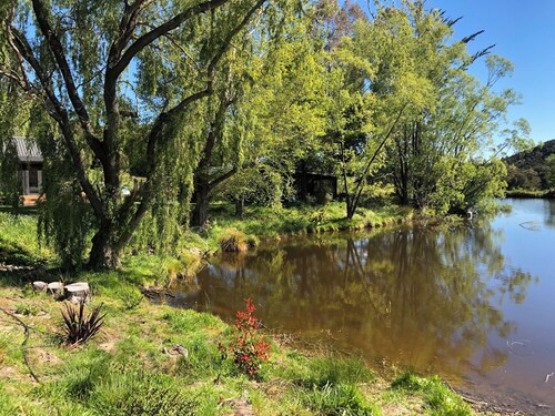 Colina Cottage - Your Little Pocket of Paradise