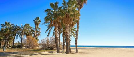 Beach nearby