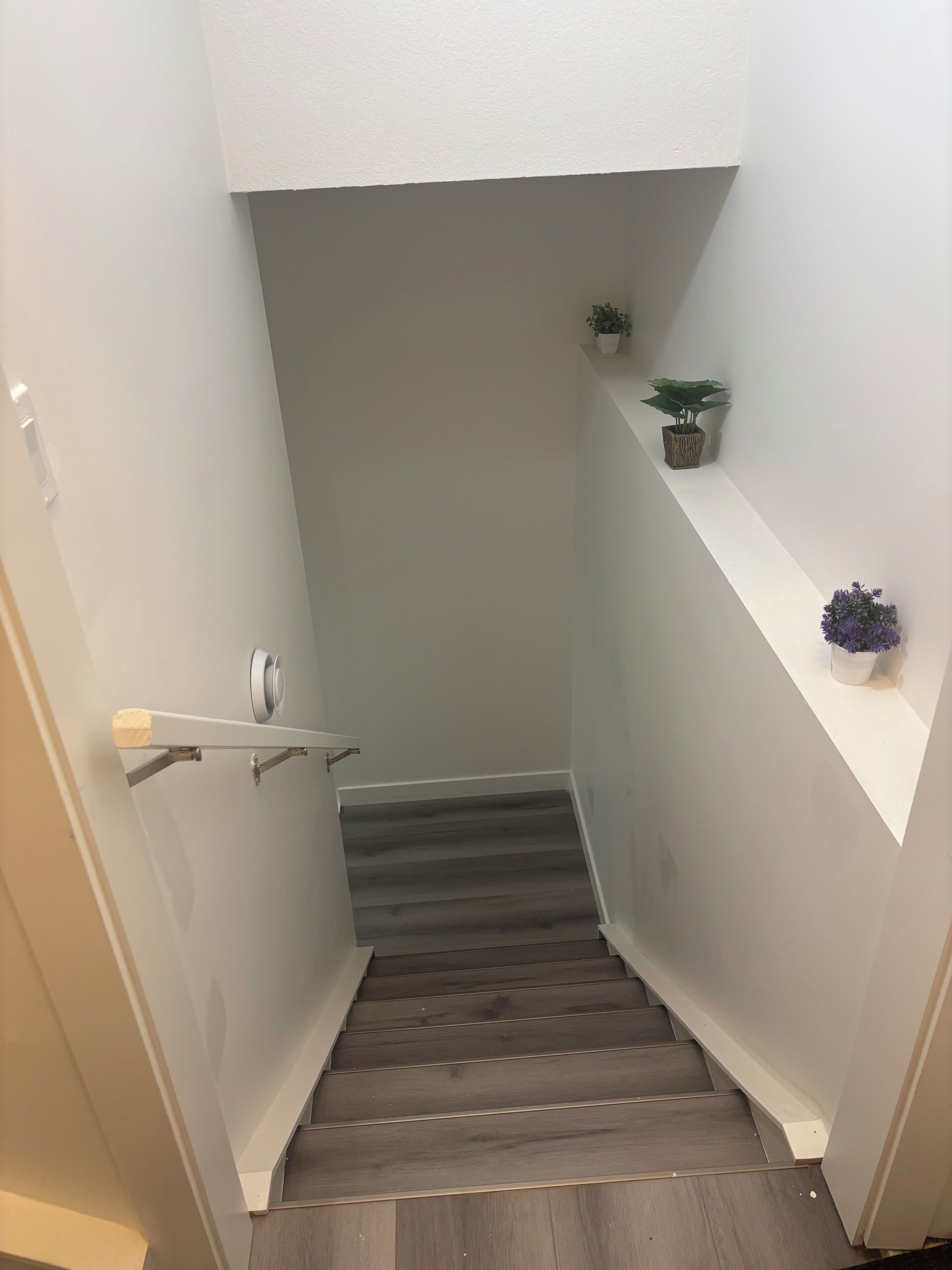 Un escalier étroit avec une main courante, une petite plante posée sur une étagère et une porte sur la gauche.