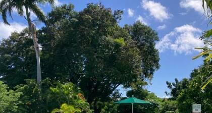 Pool, Opposite Yacht Club and Carlisle Bay! 2 Bed 2 Bath Banyan Court