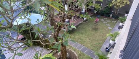 Habitación Deluxe con 1 cama matrimonial o 2 individuales, vista a la alberca | Vista al jardín