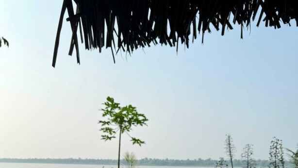 A table with plates of food, a cup of coffee, and a view of a body of water. - Milia Amazon Lodge (Iquitos)
