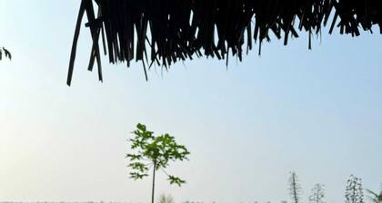 Milia Amazon Lodge