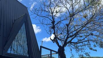 Área da propriedade