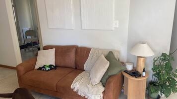 Televisión, chimenea