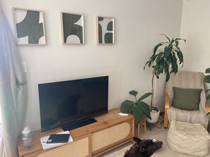 تلفزيون، مدفأة