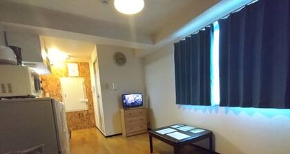 A hole in the ground downtown! 311 Fully equipped kitchen & rooms for long term stays