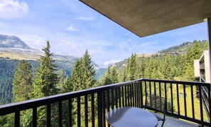 Property grounds - Spacious and Bright Apartment Resort Center Balcony Covered Parking (Araches-la-Frasse)