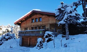 Exterior - Comfort and Authenticity Close to the Slopes (Les Gets)