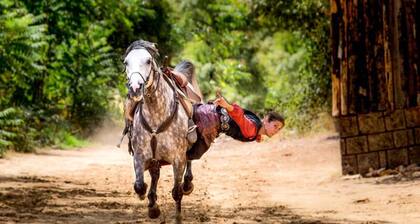 Villa, Semi-detached, 2 Bathrooms, 8 People