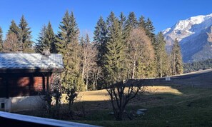 Property grounds - Crocus 3 (Saint-Gervais-les-Bains)