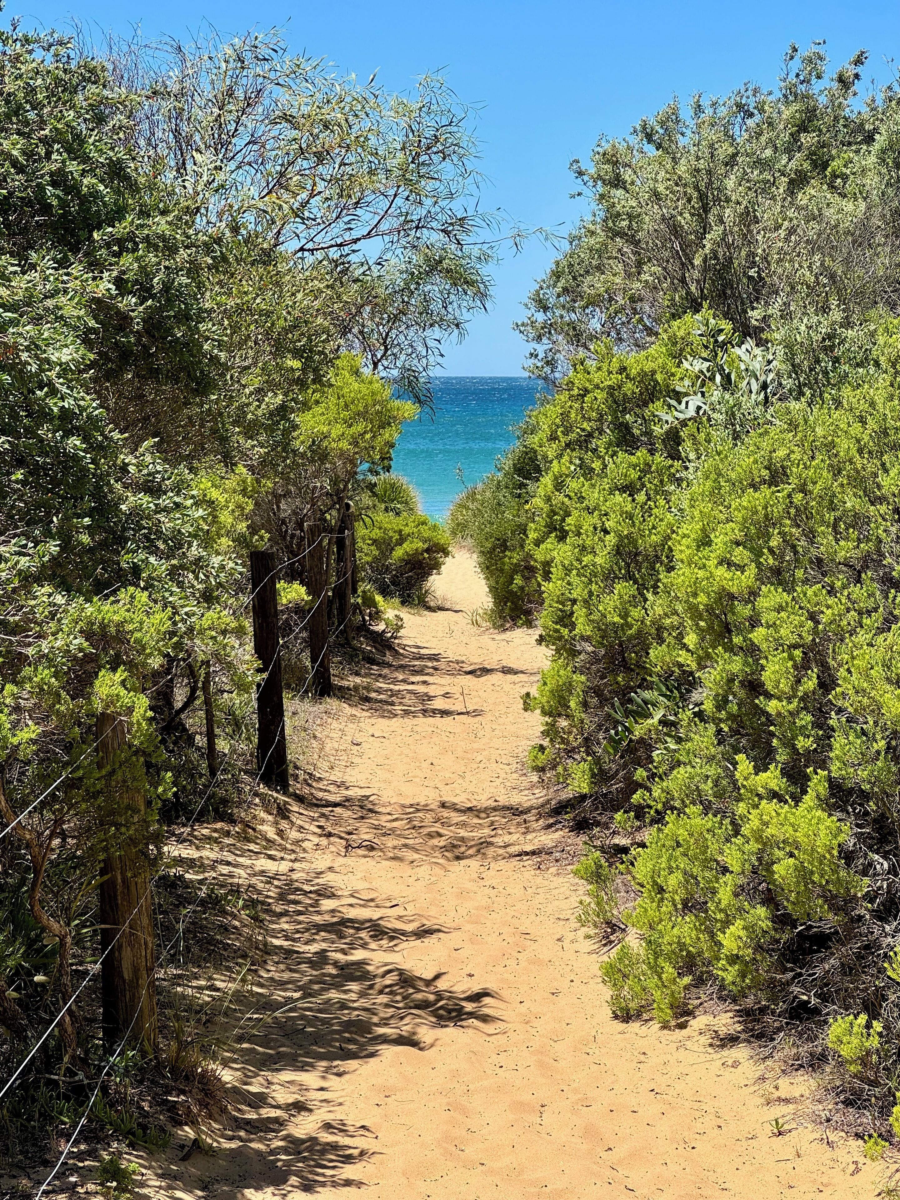 In Strandnähe, Liegestühle, Strandtücher