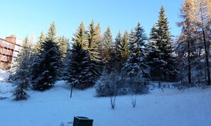 Miscellaneous - 3-room Duplex Apartment for 8 People, Ski-in/ski-out, in the Village of Charmettoger in Arc 1800 (Bourg-Saint-Maurice)
