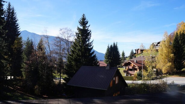 A cabin with a sloped roof, surrounded by tall evergreen trees and a mountain in the background. - Nan01 - Studio 4 People Gondola (Araches-la-Frasse)