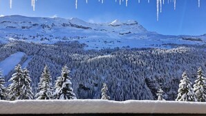 Miscellaneous - Apartment in Flaine Foret Near Ski Lifts (Araches-la-Frasse)