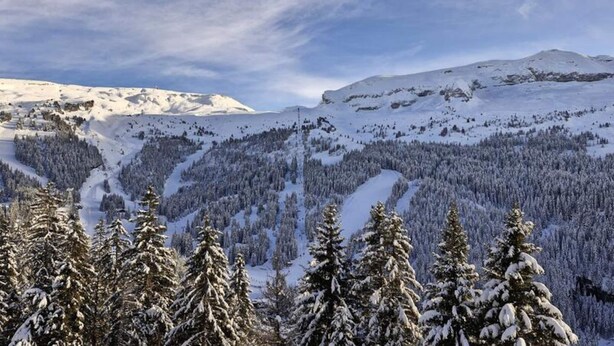 Miscellaneous - Apartment in Flaine Foret Near Ski Lifts (Araches-la-Frasse)