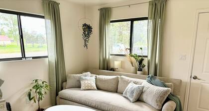 Updated cozy house in charming La Veta