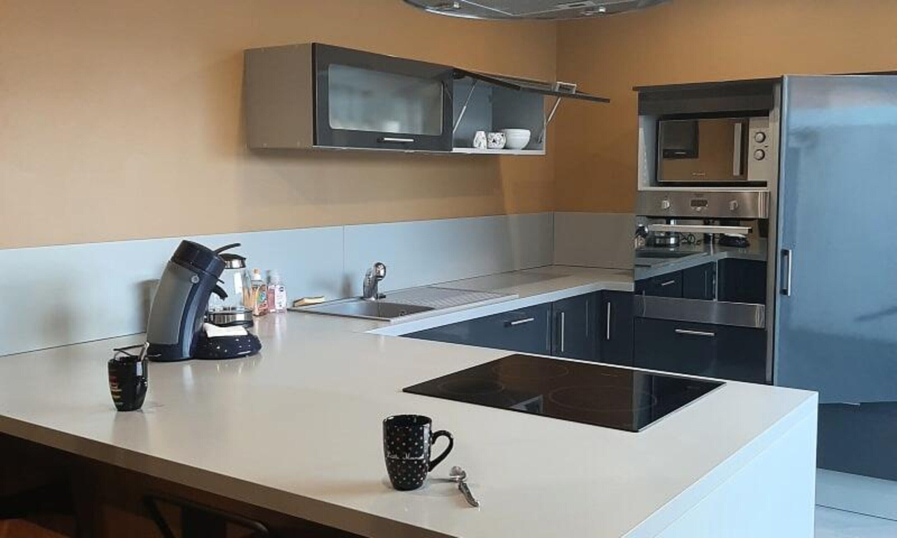 Lemari es, microwave, oven, dan mesin pencuci piring