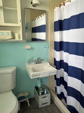 Hair dryer, towels, soap, toilet paper - Cozy Beach Getaway in Beautiful Ormond Beach Getaway (Ormond Beach)