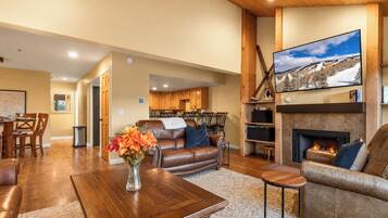 TV, fireplace