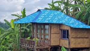A wooden house with a blue corrugated metal roof, surrounded by lush banana plants.