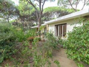 المنطقة المحيطة بالمنشأة