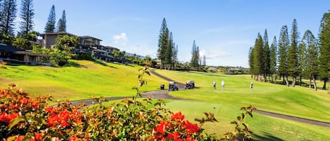 Um campo de golfe com um clube, árvores e um céu limpo.