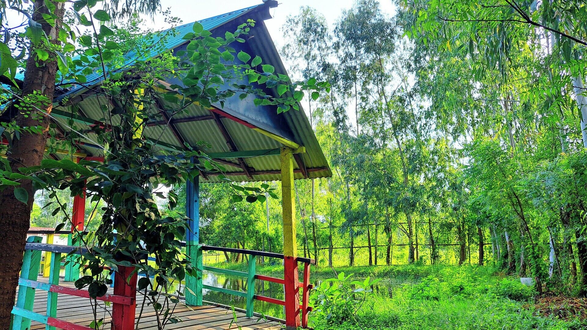 Área de sala de estar