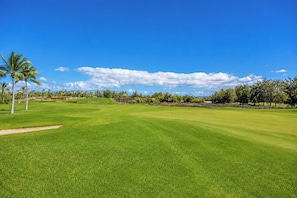 Ein Golfplatz mit blauem Himmel, Palmen und einem gepflegten Grün.