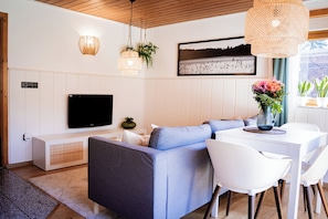 تلفزيون، مدفأة