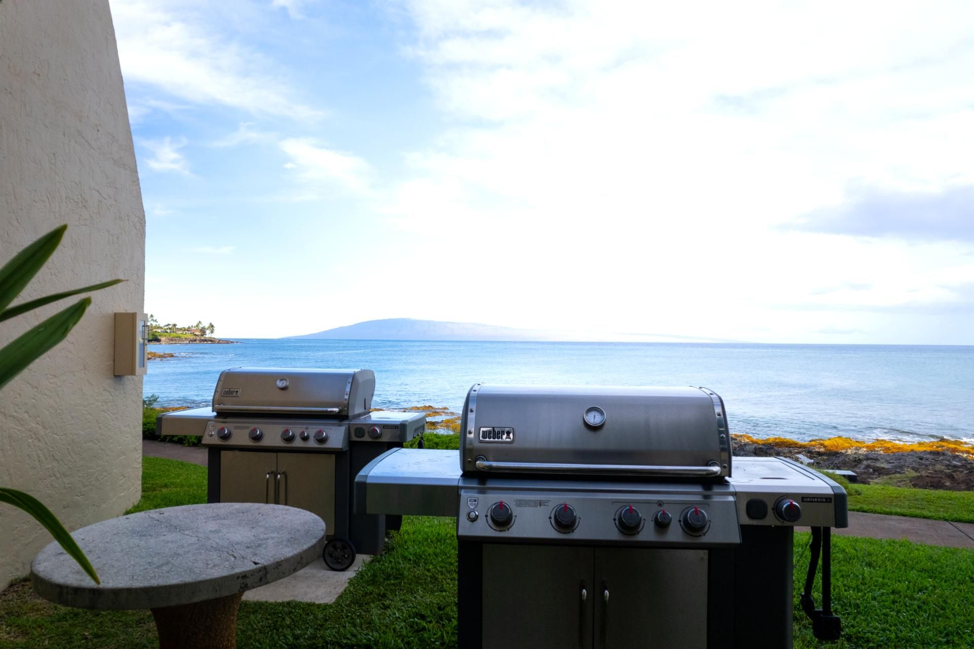 Zwei Grillplätze im Freien mit Blick auf den Ozean und einer Rasenfläche.