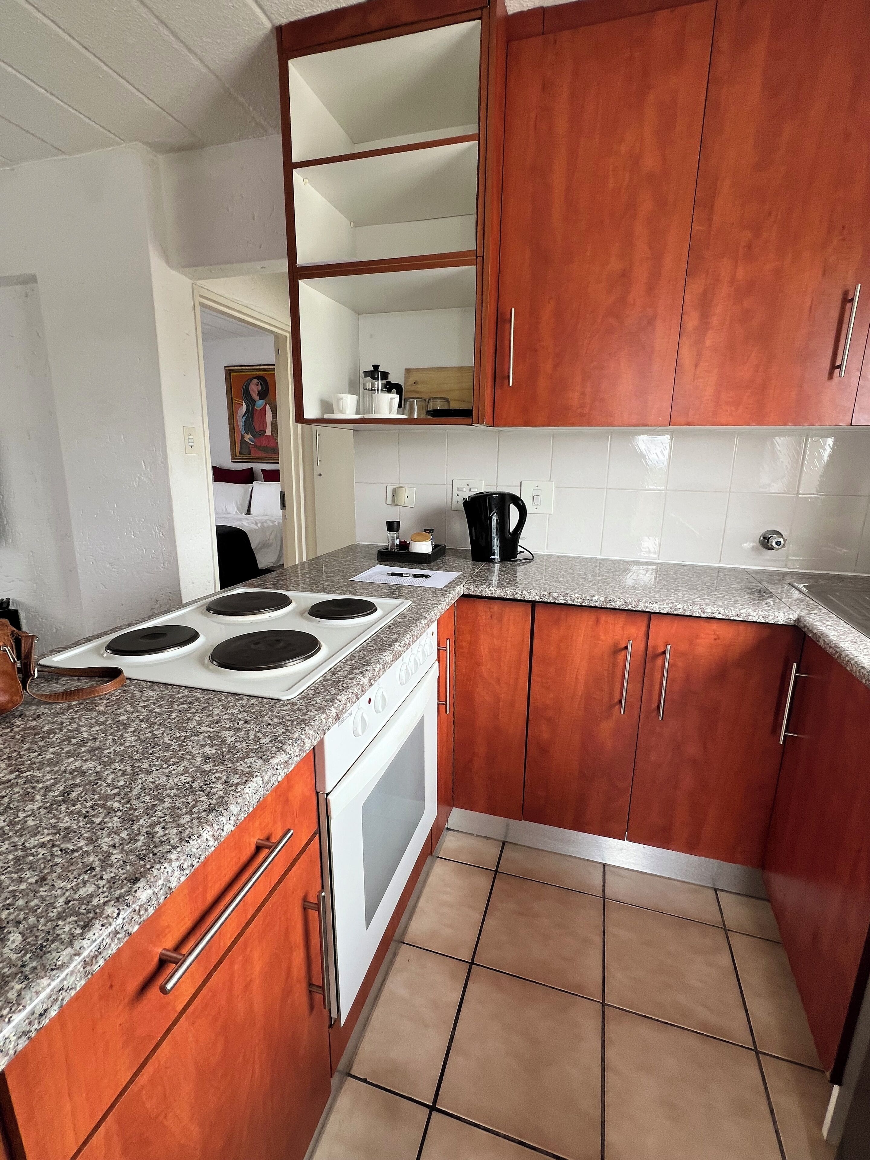 Fridge, oven, stovetop, electric kettle