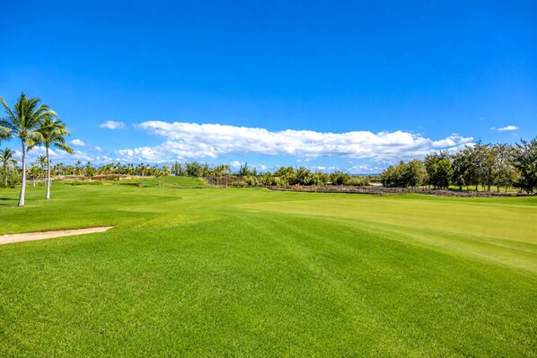 A golf course with a clear sky, palm trees, and a well-maintained green.