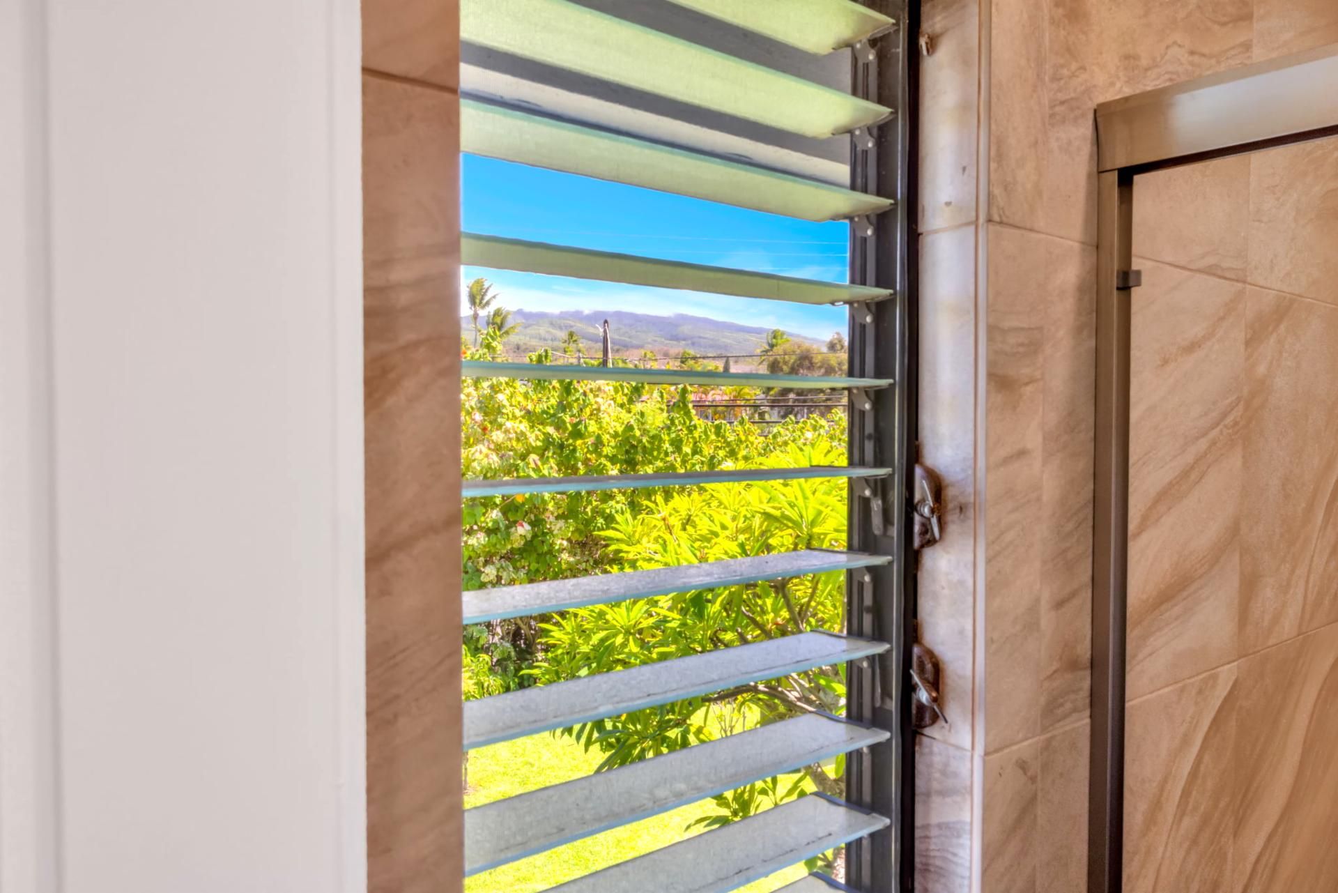 A window with horizontal blinds, a view of greenery and mountains, and a wooden door.