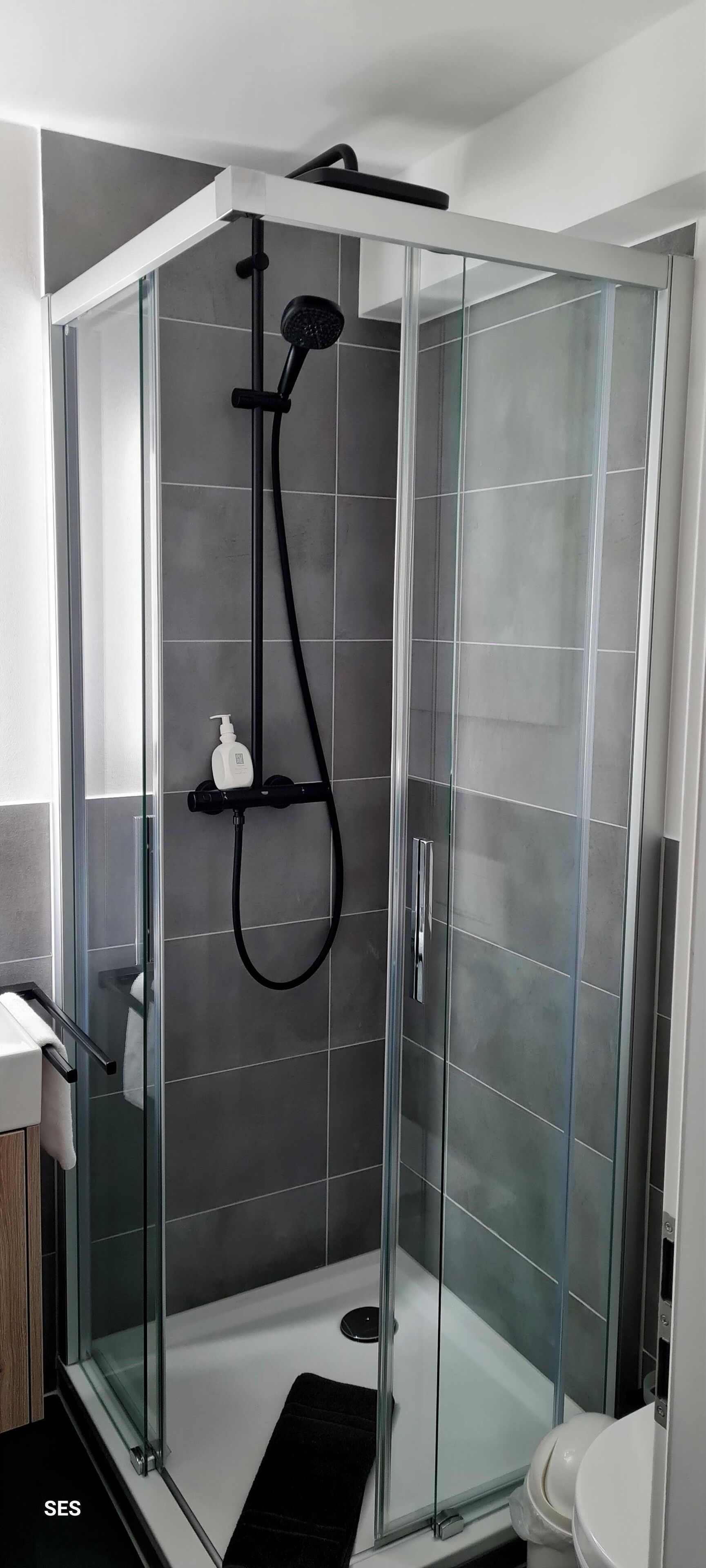Un box de ducha moderno con puerta de vidrio, cabezal de ducha manual y manguera de ducha.