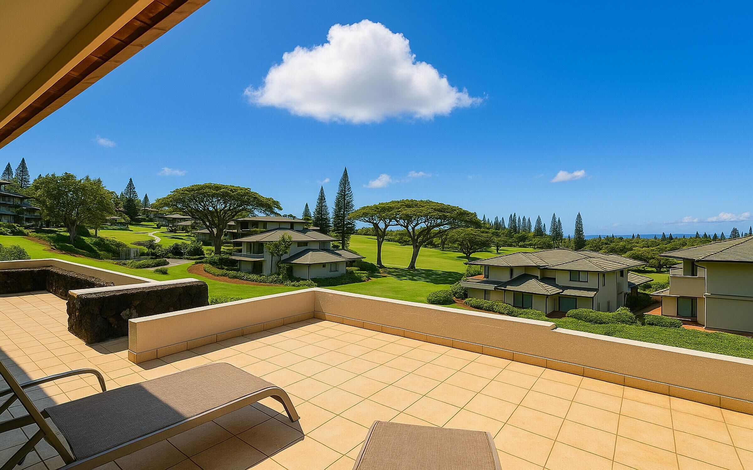Terraza o patio