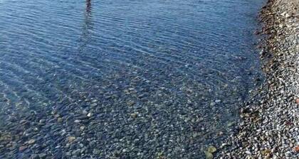 Wohnung in Überlingen mit Schwimmbecken
