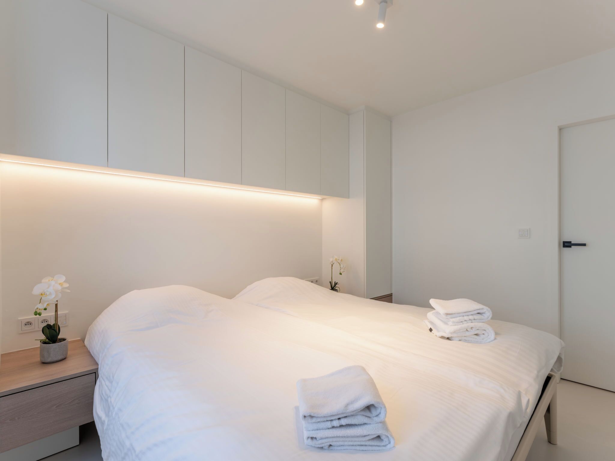 Una habitación de hotel moderna con una cama grande, mesitas de noche y una mesita auxiliar con una planta.
