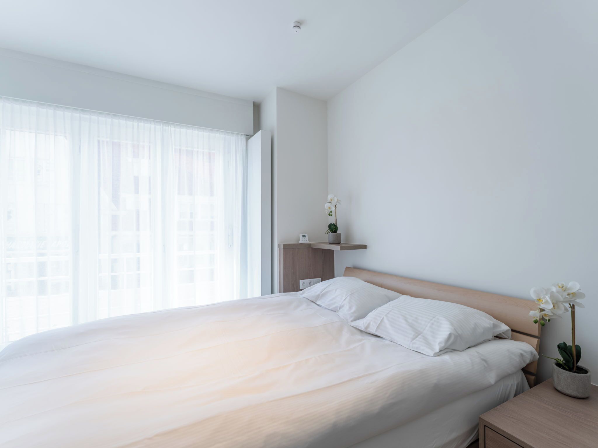 A modern bedroom with a large bed, a bedside table with a plant, and a window with sheer curtains.