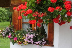 Exterior detail - Gentian in the Wendelstein holiday home (Fischbachau)