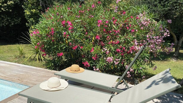 A poolside lounge chair with a hat and sunglasses, a pool, and blooming pink flowers in the background. - Detached studio with terrace in Aix countryside property (Aix-en-Provence)