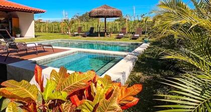 Your Seashell in Búzios – a real Pearl
