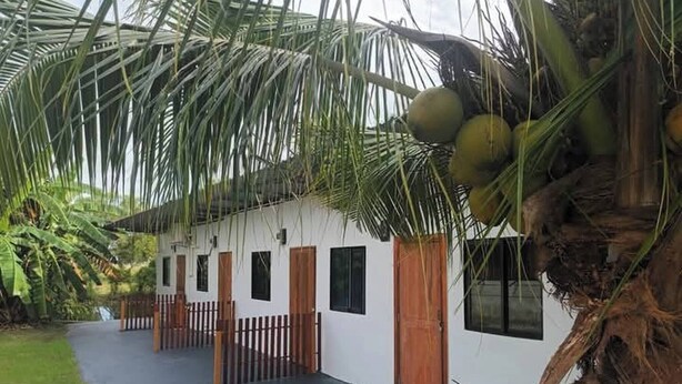 Un bâtiment blanc avec un toit noir, entouré d’une végétation luxuriante et de palmiers.
