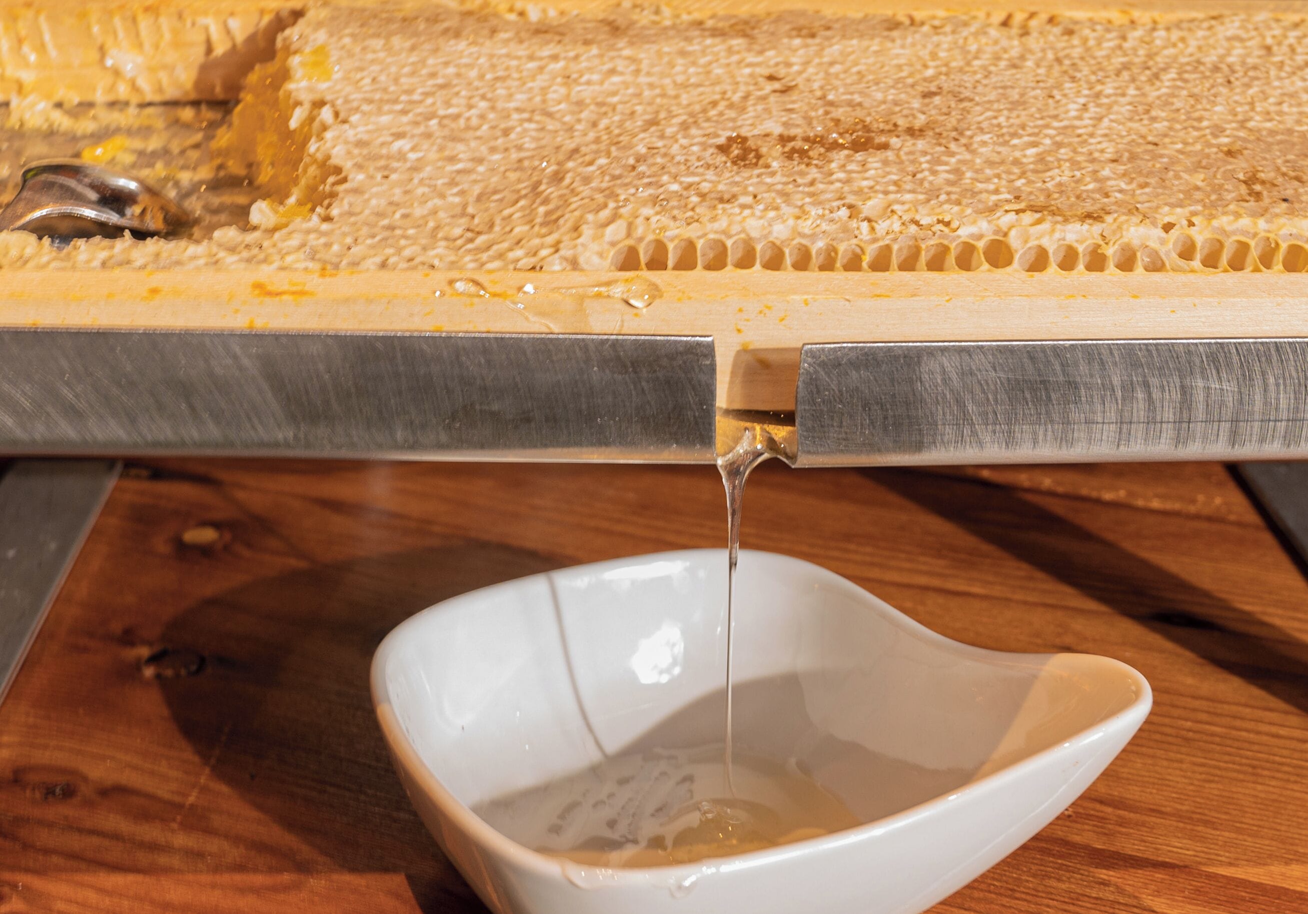 Tägliches inbegriffenes Frühstücksbuffet