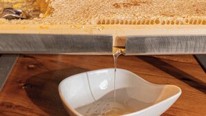 Frokostbuffé er inkludert hver dag