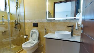 A modern bathroom with a glass-enclosed shower, a toilet with a raised seat, and a vanity with a sink and mirror.