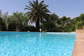 Ein klares Schwimmbecken, umgeben von üppigem Grün und einer Palme.