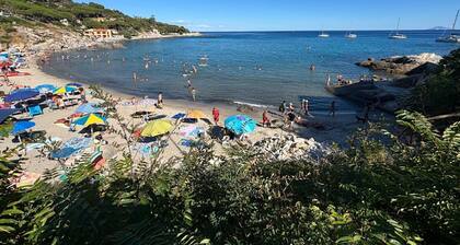 Elegant Pomegranate house immersed in the nature of the Island of Elba.